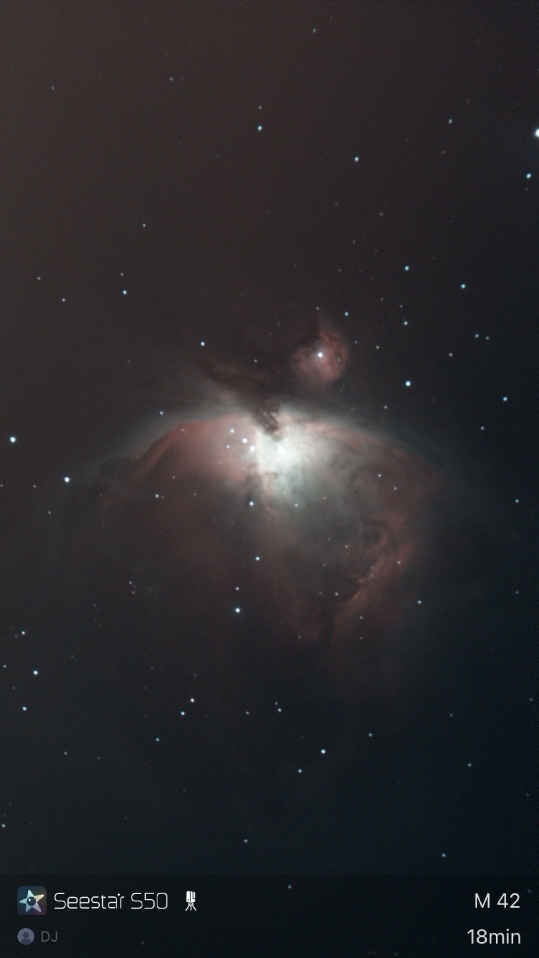 M42 — Orion Nebula
