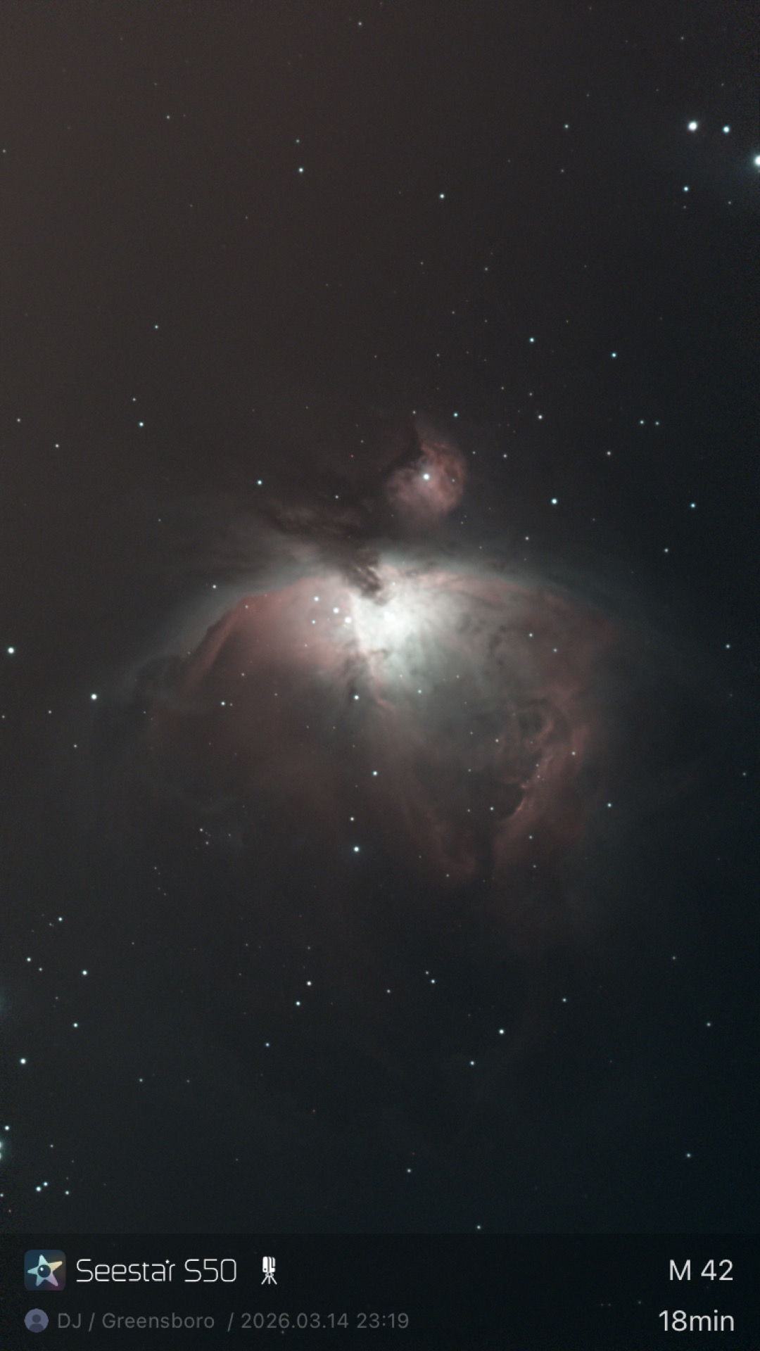 M42 — Orion Nebula (LP)