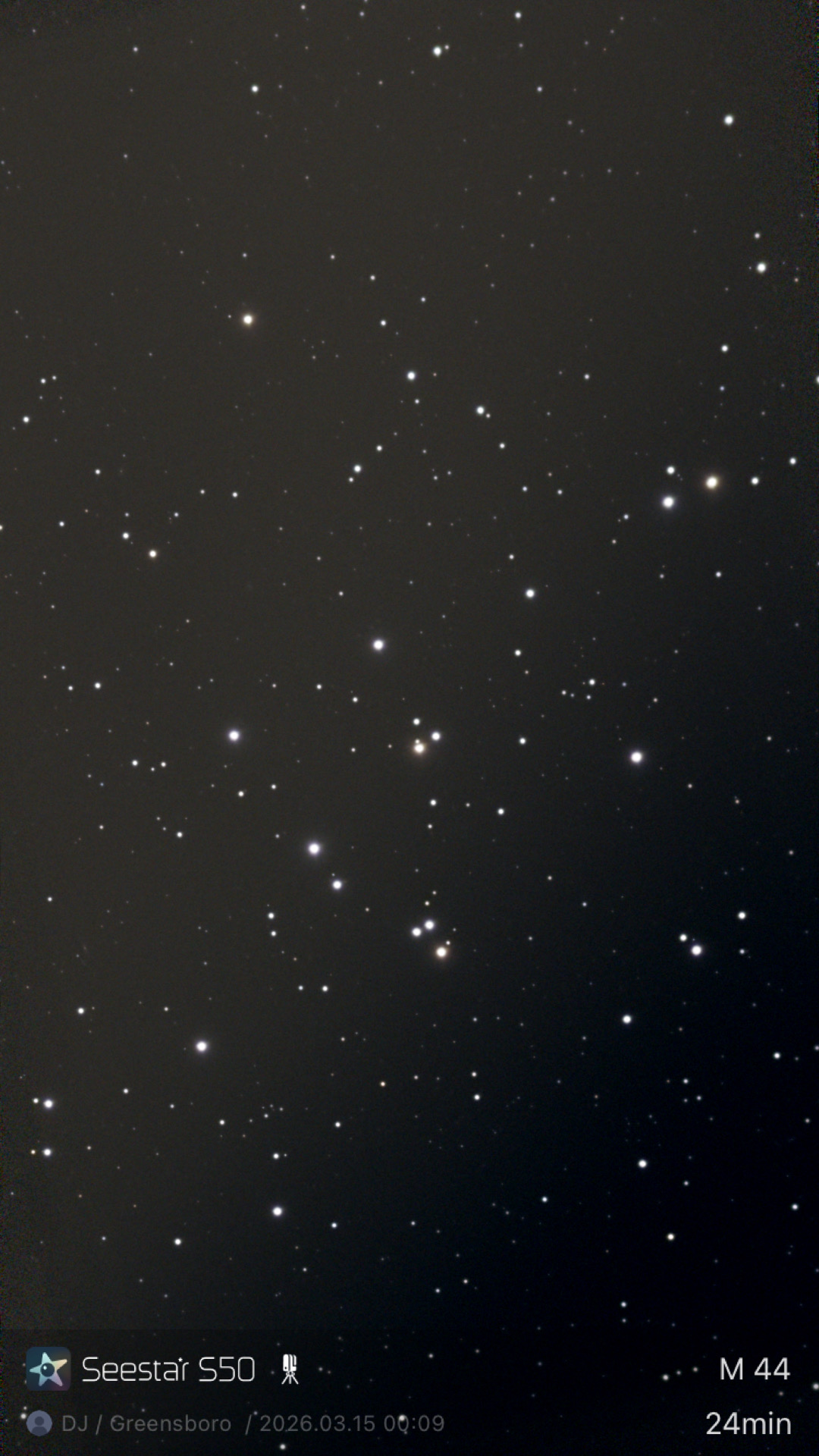 M44 — Beehive Cluster